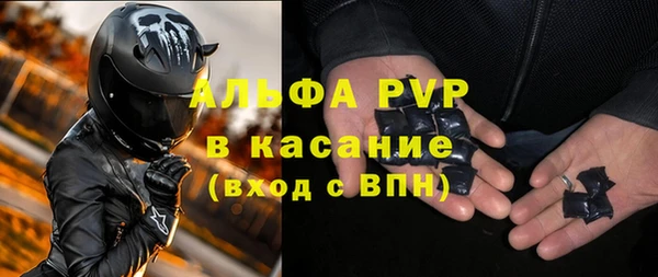 трава Коряжма