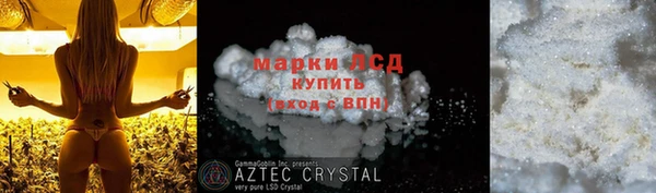 ПСИЛОЦИБИНОВЫЕ ГРИБЫ Инсар