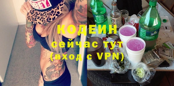 молекула духа Балахна