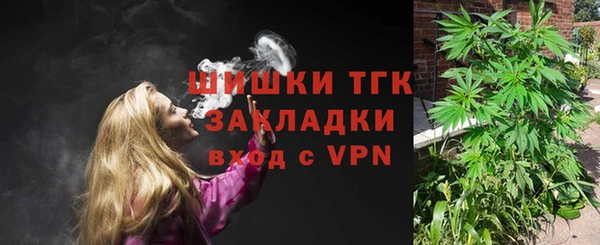 молекула духа Балахна